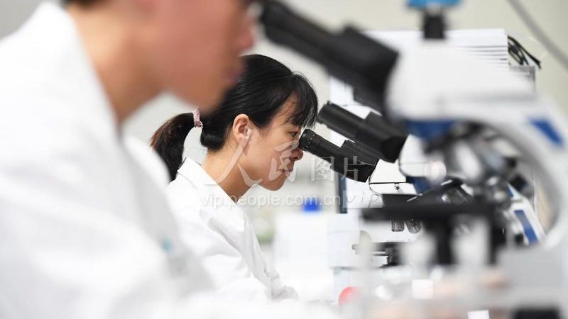 CDMO质量标准：揭秘制药外包的“隐形壁垒