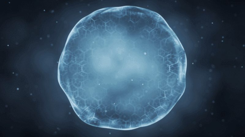 引物合成与PAGE纯化：揭秘分子生物学研究中的关键步骤