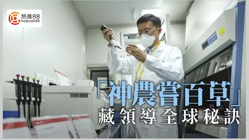 成都CRO优化公司：助力医药研发，揭秘合规之路