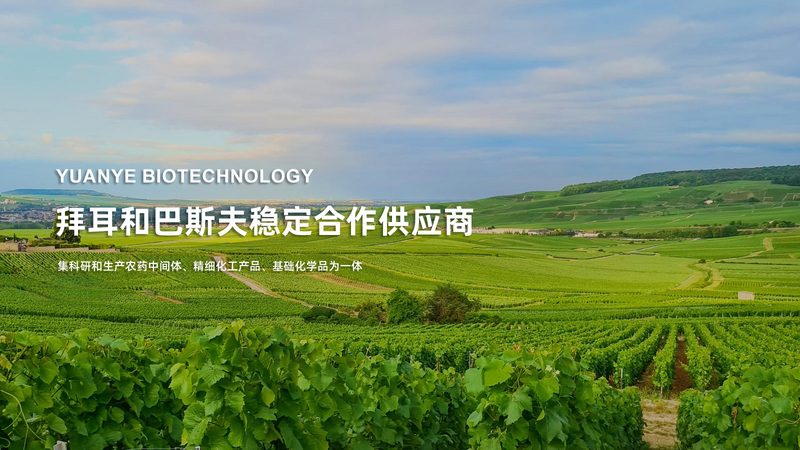工业级PCR检测设备：揭秘其核心技术与选型要点