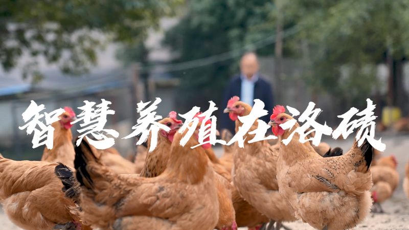 生物科技公司产品分类型号：揭秘背后的选型逻辑**